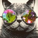 |(Екатерина Котик)| - @kate_getman1 - Instagram
