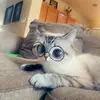 Kate Glenn - @jennglenn10 - TikTok