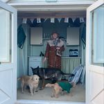 Kate Glover - @newforestkate - Instagram