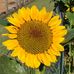 Kate Glover - Facebook
