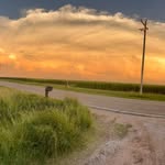 Kate Hutchinson Goad - @accidentalhomesteaderkate - Instagram