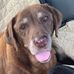 Kate Grady - Facebook