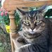 Kate Grady - Facebook