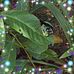 Kate Grady - Facebook