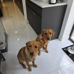 Kate Griggs - @kateg7586 - Instagram