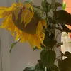 Kate HA - @kateha1979 - TikTok