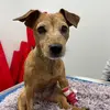 kate._.ha - @kate._.ha - TikTok