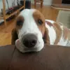 Kate Hagner - @clementine.mayday - TikTok