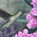 Kate Halpin Fine Art - @katehalpinart - Instagram