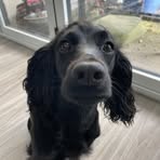 Kate Laura - Facebook