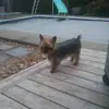 katehamel - @goberky - TikTok