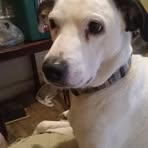 Kathy Hardesty-Peters - Facebook