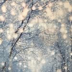 Katie Hardesty Wilson - @beauty_and_the_bead - Instagram