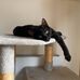 Kate Hardwick - Facebook