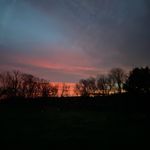 Kate Harkness - @kate_harkness_ - Instagram