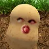 Kate - @kate_helm267 - TikTok