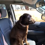 Zigatha kate hemphill - @ziggy_kate_hemphill - Instagram