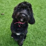 Kate Henson - @katehenson2005 - Instagram