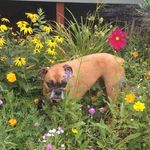 Kate Herbert Martin - @kateherbertmartin - Instagram