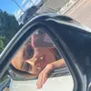 kateherreraa - @kateherreraa - TikTok
