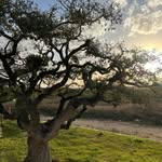Kate Huggins - @happygocamping - Instagram