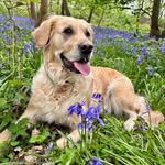 Kate Huggins - @huggins_k_ - Instagram