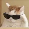 Kate Jonas - @katejonas1 - TikTok