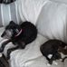 Kate Keating - Facebook