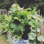 Kate Keating - @clearwaterharvest - Instagram