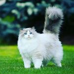 Катя Керн - @kate_kern_ - Instagram