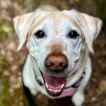 Kate Reusch Keyes - @kkeyes911 - Instagram