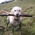 Kate Kilpatrick - @kate.kilpatrick.75 - Instagram