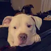 Kat Kimball - @kat.kimball1 - TikTok