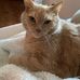 Kate Kiser - Facebook