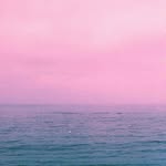Kate Kleinschmidt - @tawanaotten556 - Instagram
