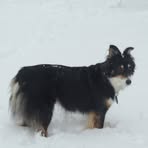 Kate Kohls - Facebook