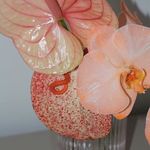 kate kolb - @reyousedthrifts - Instagram
