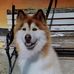 Kate Lanham - Facebook