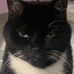 Kate Latham - Facebook