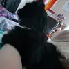 k - @katelynnleclerc - TikTok