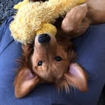 katelehrhaupt - @katelehrhaupt - Instagram