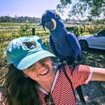 Kate Leib - @k8leib - Instagram