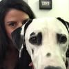 Kate Leib - @ktleib - TikTok