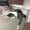 Kate Leigh - @kateleigh4 - TikTok