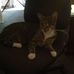 Kate Lenehan - Facebook