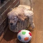 Katie Regan Lenehan - @klenehan1 - Instagram