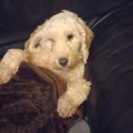 Katie Lenihan - @lenihan1496 - Instagram
