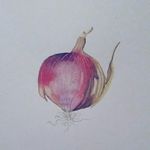 kate leslie - @kateleslie_watercolour - Instagram