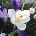 Kate Lettuce - @kate_lettuce - Instagram
