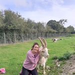 Kate Levitt - @kateslevitt - Instagram